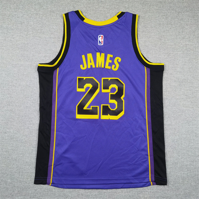 Youth LeBron James Los Angeles Lakers #23 Embroidered Jersey