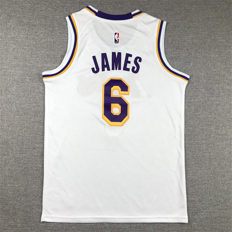 Youth LeBron James Los Angeles Lakers #6 Embroidered Jersey