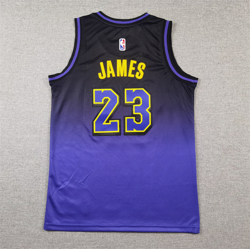 Youth LeBron James Los Angeles Lakers #23 City Edition Embroidered Jersey