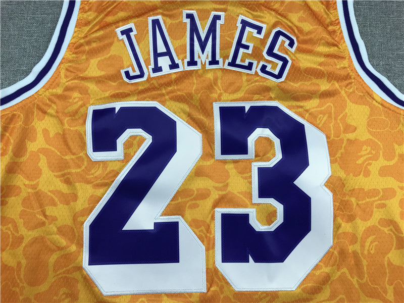 LeBron James #23 BAPE 2018-19 Throwback Embroidered Jersey