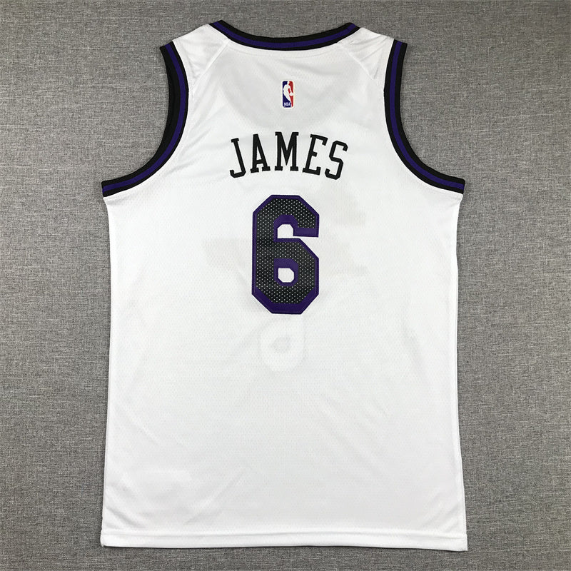 Youth LeBron James Los Angeles Lakers #6 City Edition Embroidered Jersey
