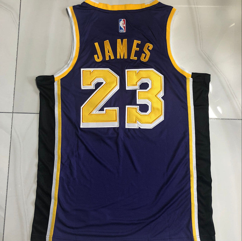 LeBron James Los Angeles Lakers Purple 23 MN