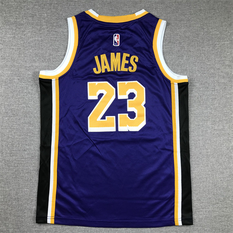 Youth LeBron James Los Angeles Lakers #23 Embroidered Jersey