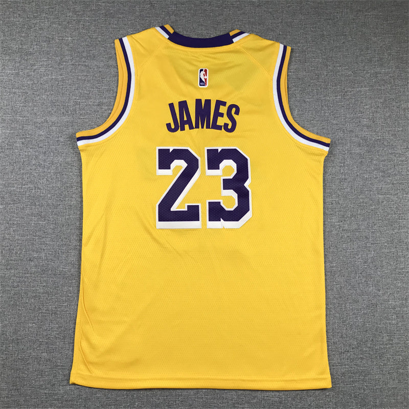 Youth LeBron James Los Angeles Lakers #23 Embroidered Jersey