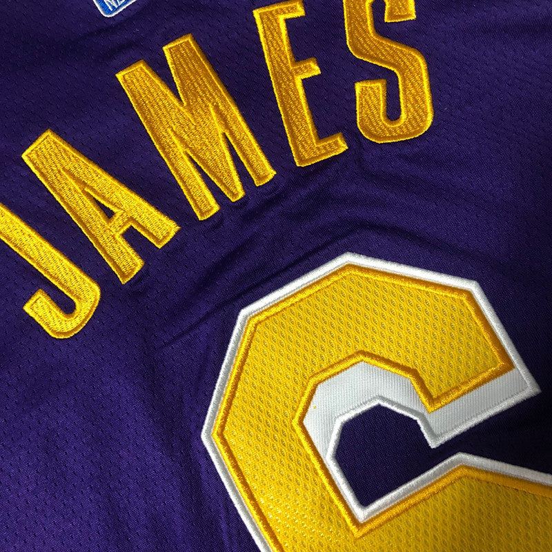 Los Angeles Lakers James Purple 6 MN