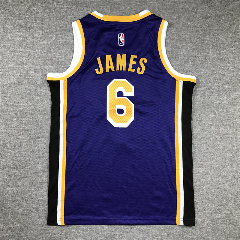 Youth LeBron James Los Angeles Lakers #6 Embroidered Jersey