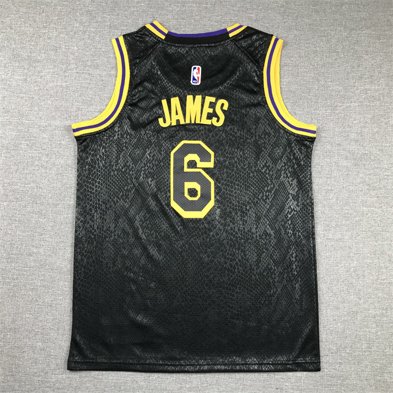 Youth LeBron James Los Angeles Lakers #6 City Edition Black Mamba Embroidered Jersey