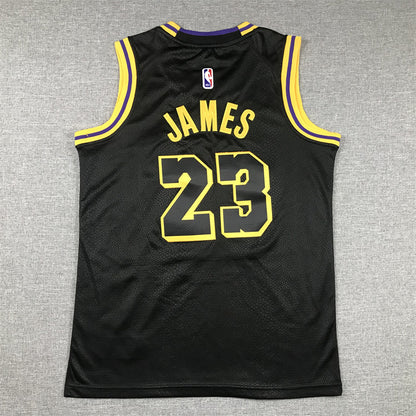 Youth LeBron James Los Angeles Lakers #23 City Edition Embroidered  Jersey