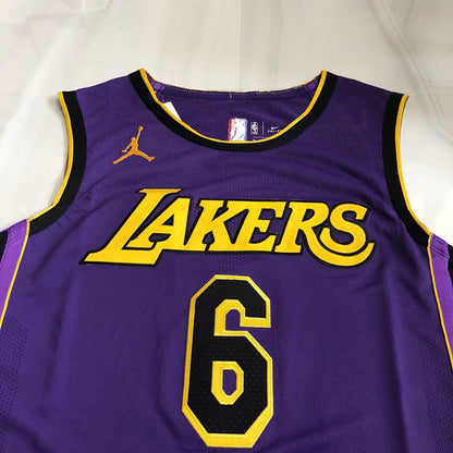 LeBron James Los Angeles Lakers Purple 6 MN