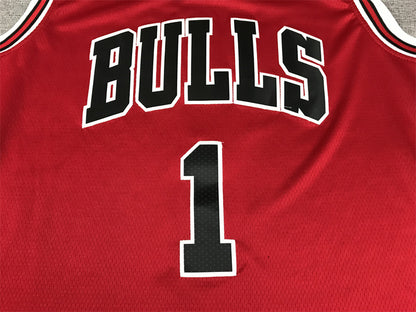 Chicago Bulls Derrick Rose #1 City Edition Swingman Jersey - Embroidered Jersey