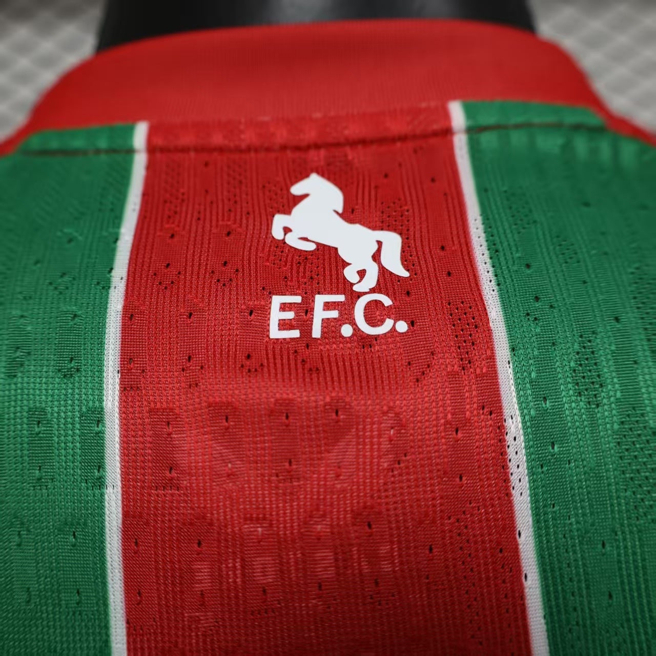 2025-26 Daman Player Version Jersey-Men's Red and Green