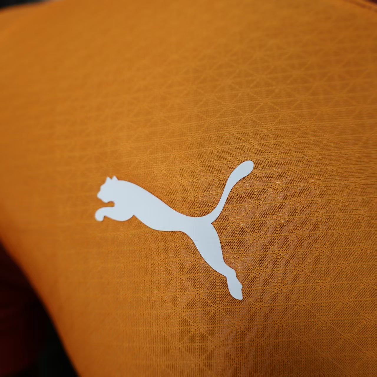 2025-26 Galatasaray Home Player Version Jersey-Men's