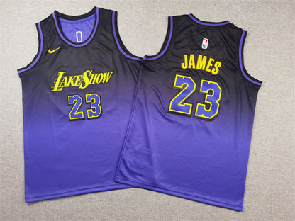 Youth LeBron James Los Angeles Lakers #23 City Edition Embroidered  Jersey