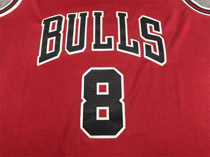 Chicago Bulls Zach LaVine #8 City Edition Swingman Jersey – Embroidered