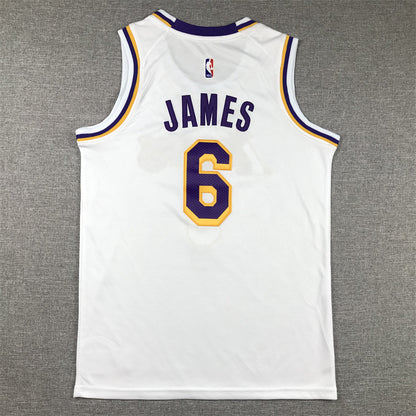 Youth LeBron James Los Angeles Lakers #6  Embroidered  Jersey