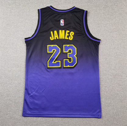 Youth LeBron James Los Angeles Lakers #23 City Edition Embroidered  Jersey
