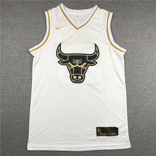 Chicago Bulls Michael Jordan #23 "Platinum" City Edition Swingman Jersey – Embroidered