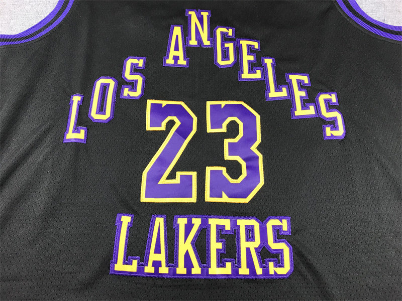 LeBron James #23 Los Angeles Lakers 2024 City Edition Swingman Jersey — Embroidered