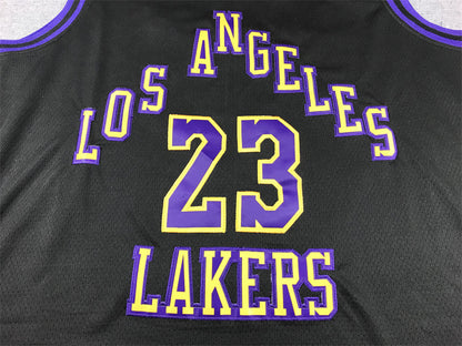 LeBron James #23 Los Angeles Lakers 2024 City Edition Swingman Jersey — Embroidered
