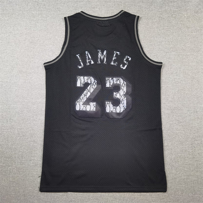 LeBron James #23 Los Angeles Lakers 2018-19 Throwback Jersey — Embroidered