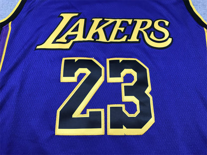 LeBron James #23 Los Angeles Lakers "Declaration" City Edition Swingman Jersey — Embroidered