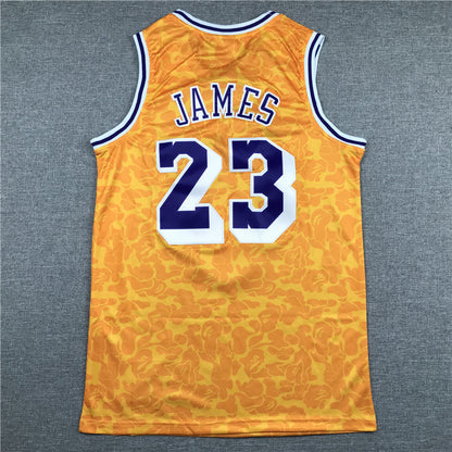 LeBron James #23 BAPE 2018-19 Throwback Embroidered Jersey