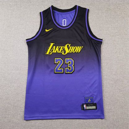 Youth LeBron James Los Angeles Lakers #23 City Edition Embroidered  Jersey