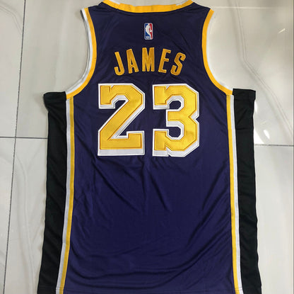 LeBron James Los Angeles Lakers  Purple 23 MN