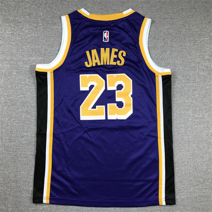 Youth LeBron James Los Angeles Lakers #23  Embroidered  Jersey