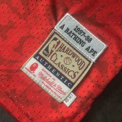 BAPE Chicago Bulls Jersey