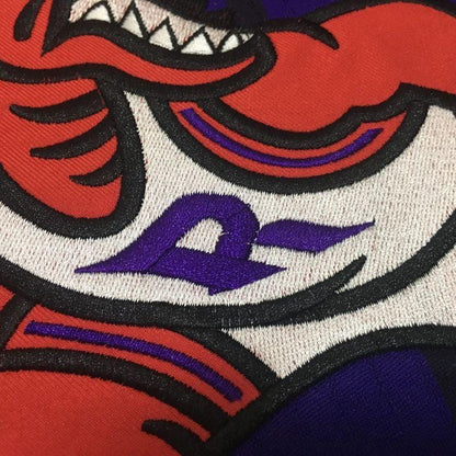 Vince Carter Toronto Raptors Throwback Jersey