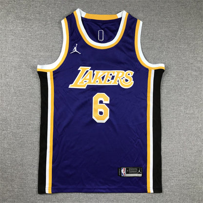Youth LeBron James Los Angeles Lakers #6  Embroidered  Jersey