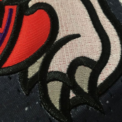 Vince Carter Toronto Raptors Black 15 MN