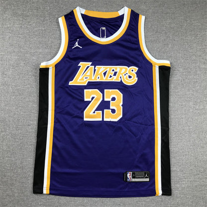Youth LeBron James Los Angeles Lakers #23  Embroidered  Jersey