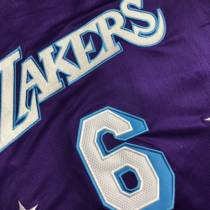 Los Angeles Lakers James Purple 6 MN