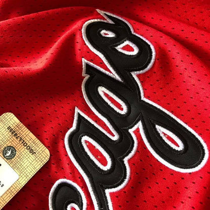 Chicago Bulls Basketball Shorts