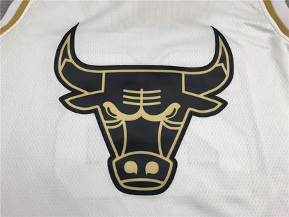 Chicago Bulls Michael Jordan #23 "Platinum" City Edition Swingman Jersey – Embroidered