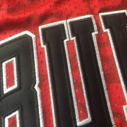 BAPE Chicago Bulls Jersey