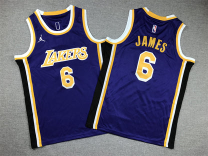 Youth LeBron James Los Angeles Lakers #6  Embroidered  Jersey