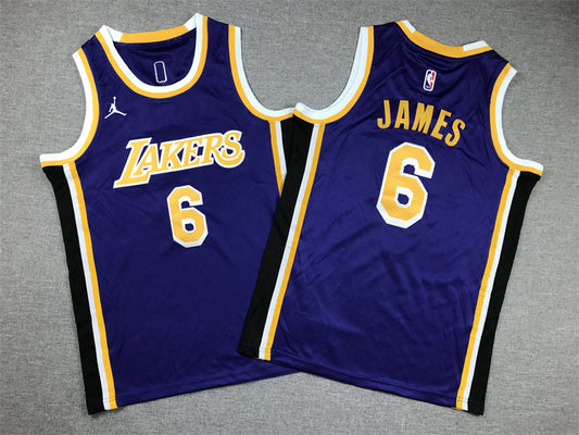 Youth LeBron James Los Angeles Lakers #6  Embroidered  Jersey