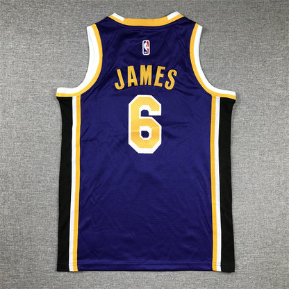 Youth LeBron James Los Angeles Lakers #6  Embroidered  Jersey