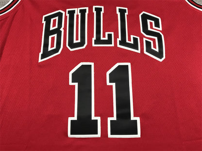 Chicago Bulls DeMar DeRozan #11 City Edition Swingman Jersey — Embroidered