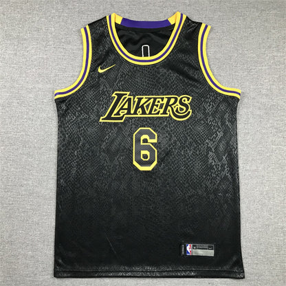 Youth LeBron James Los Angeles Lakers #6 City Edition Black Mamba Embroidered  Jersey