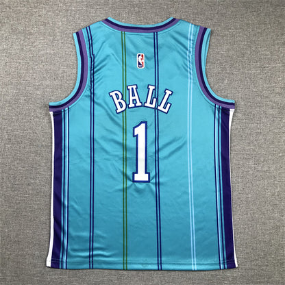 Youth LaMelo Ball Charlotte Hornets #1 Embroidered Jersey
