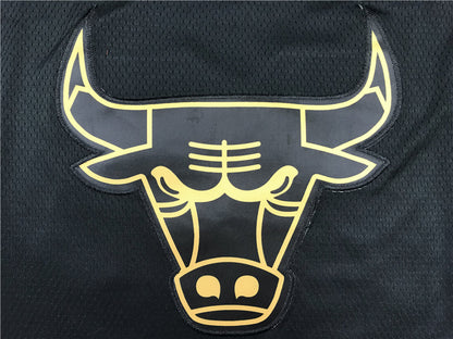 Chicago Bulls Michael Jordan #23 "Black & Gold" City Edition Swingman Jersey – Embroidered