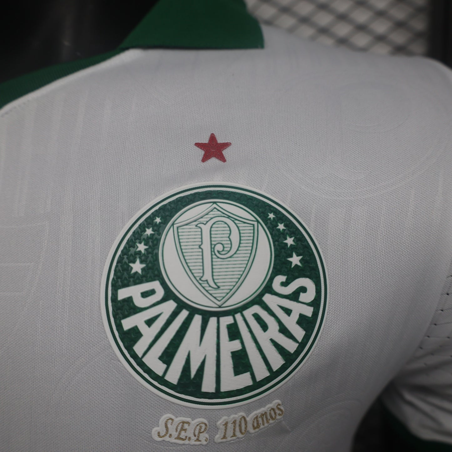 24-25 Palmeiras away player jersey