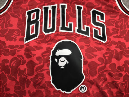 Michael Jordan Chicago Bulls #23 Bape co-branded jersey