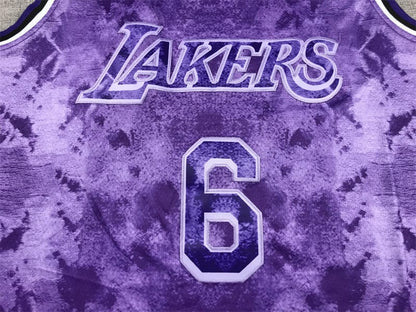 Lebron James LA Lakers Purple Jersey #6