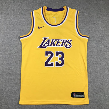 Youth LeBron James Los Angeles Lakers #23  Embroidered  Jersey