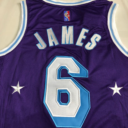 Los Angeles Lakers James Purple 6 MN